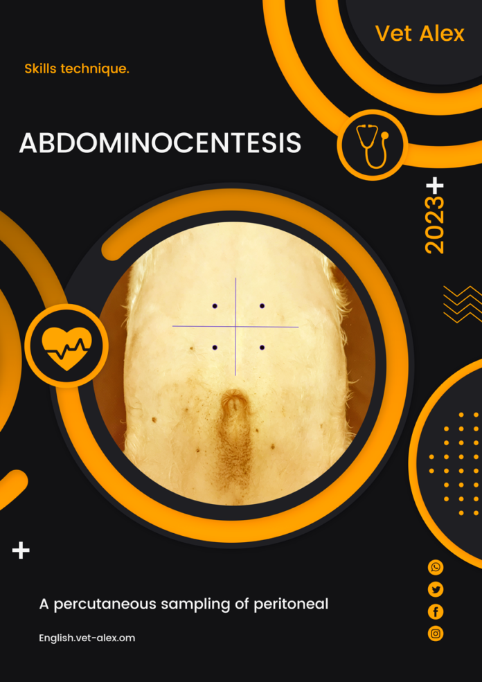 Abdominocentesis