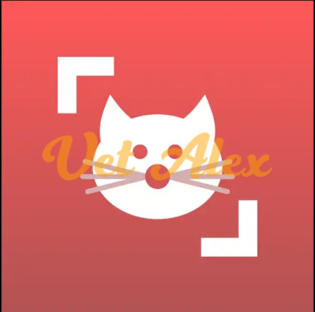 cat scanner