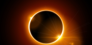 Understanding animal reactions to a solar eclipse