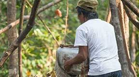 The feeding platform at Camp Leakey