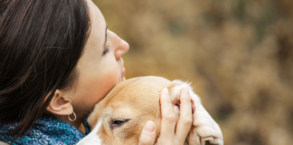Owners diagnosed with cancer have difficulty paying for veterinary visits, survey finds