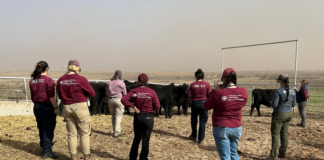 Reaching patients affected by wildfire