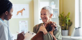 Survey finds fewer than half of veterinarians feel the profession is appreciated