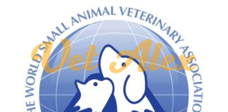 WSAVA announces new Global Vaccination Guidelines for Vets. wsava-logo